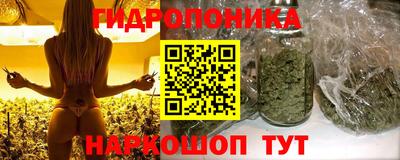 молекула духа Берёзовский