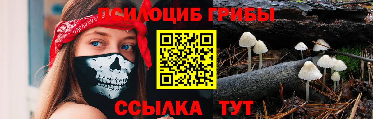 Галлюциногенные грибы прущие грибы Ачхой-Мартан